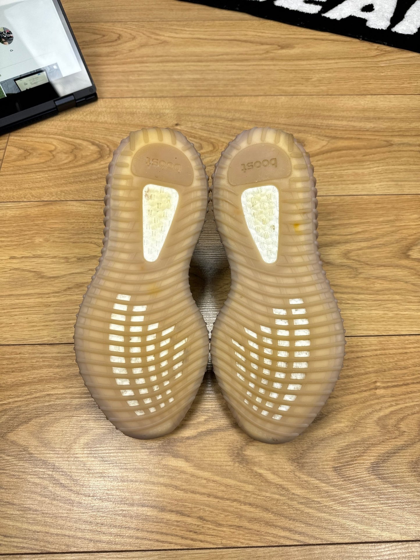 Adidas Yeezy 350 V2 Monomist (42)