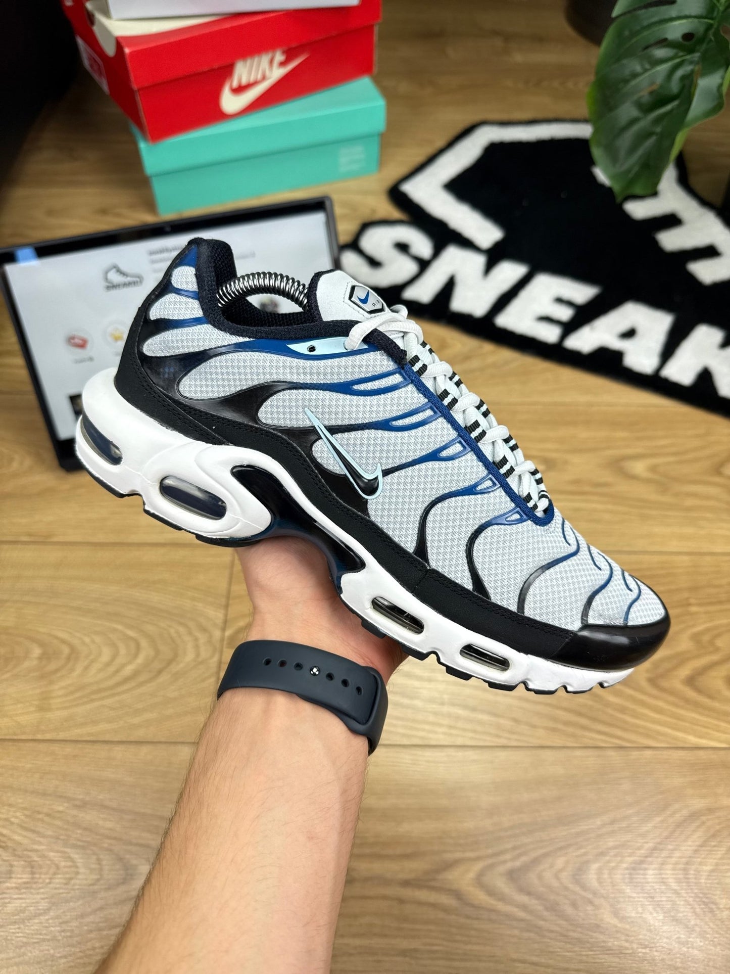 Nike Air Max Plus (42)
