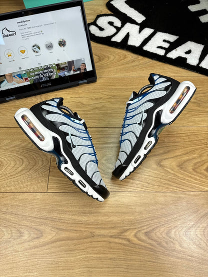 Nike Air Max Plus (42)