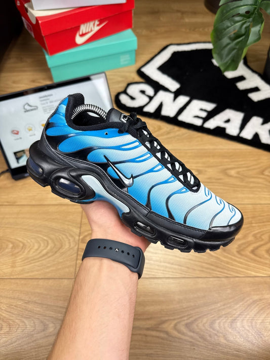 Nike Air Max Plus (41)