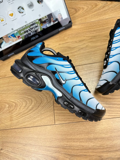 Nike Air Max Plus (41)
