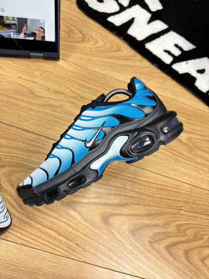 Nike Air Max Plus (41)