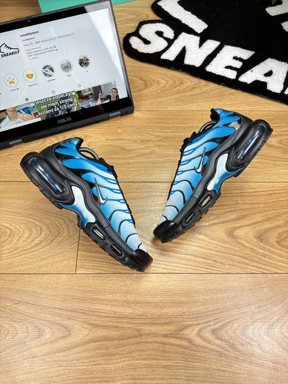 Nike Air Max Plus (41)
