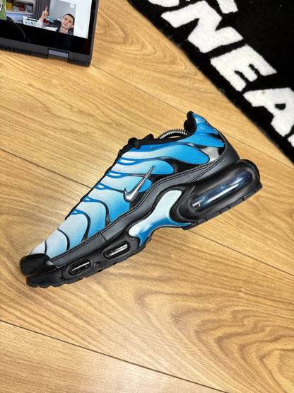 Nike Air Max Plus (41)