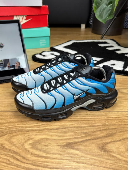 Nike Air Max Plus (41)