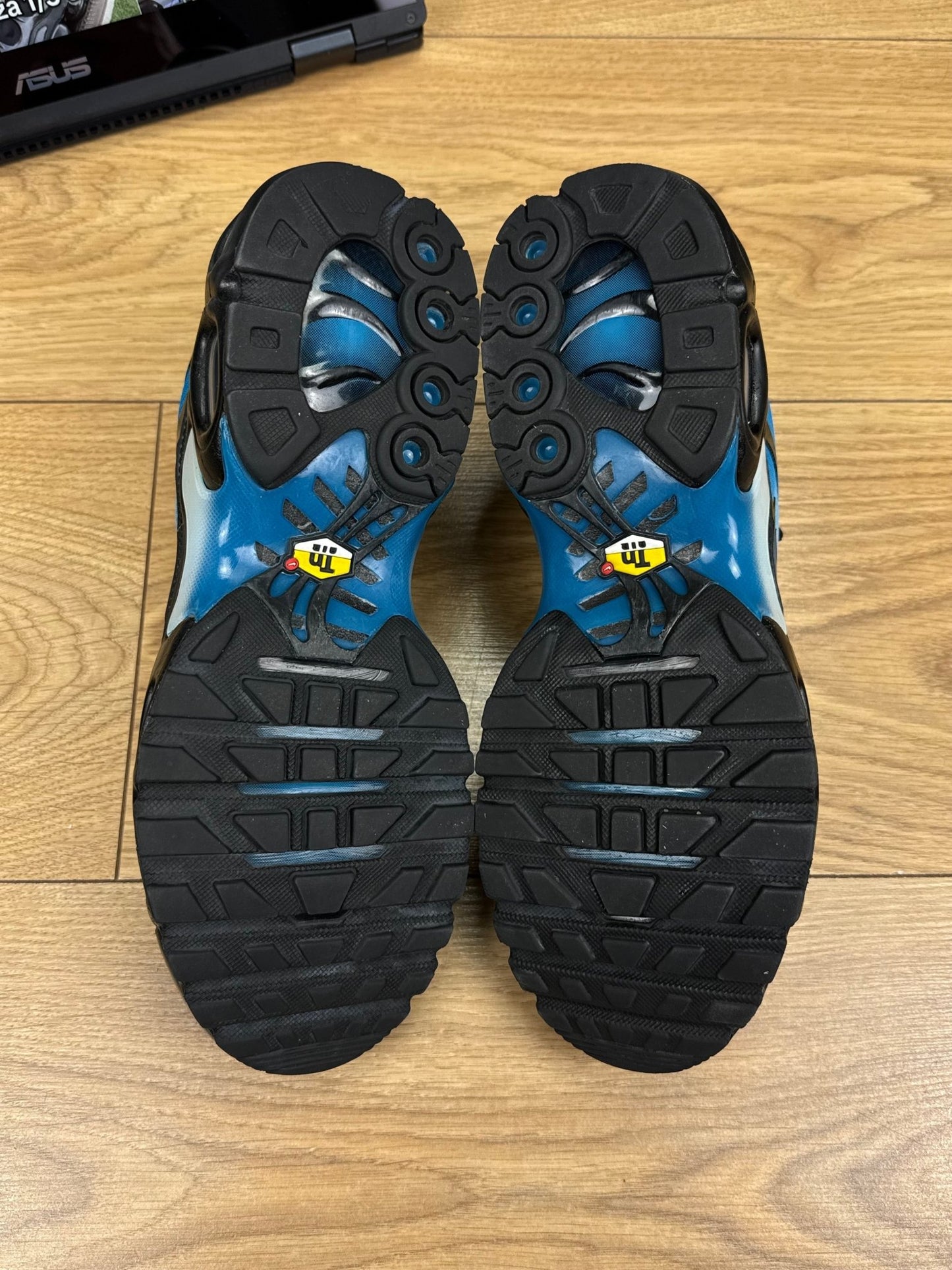 Nike Air Max Plus (41)