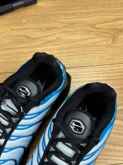 Nike Air Max Plus (41)