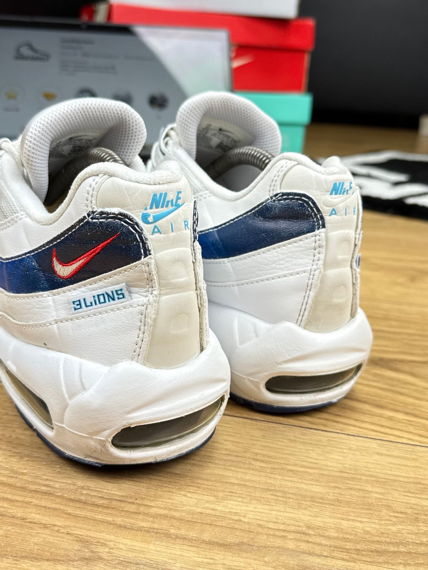 Nike Air Max 95 (44)