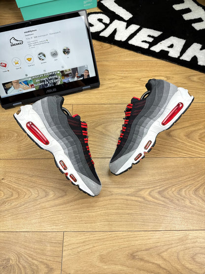 Nike Air Max 95 (41)
