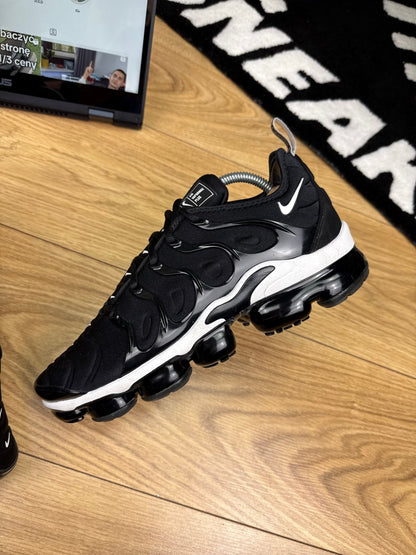 Nike Air Vapormax Plus (43)