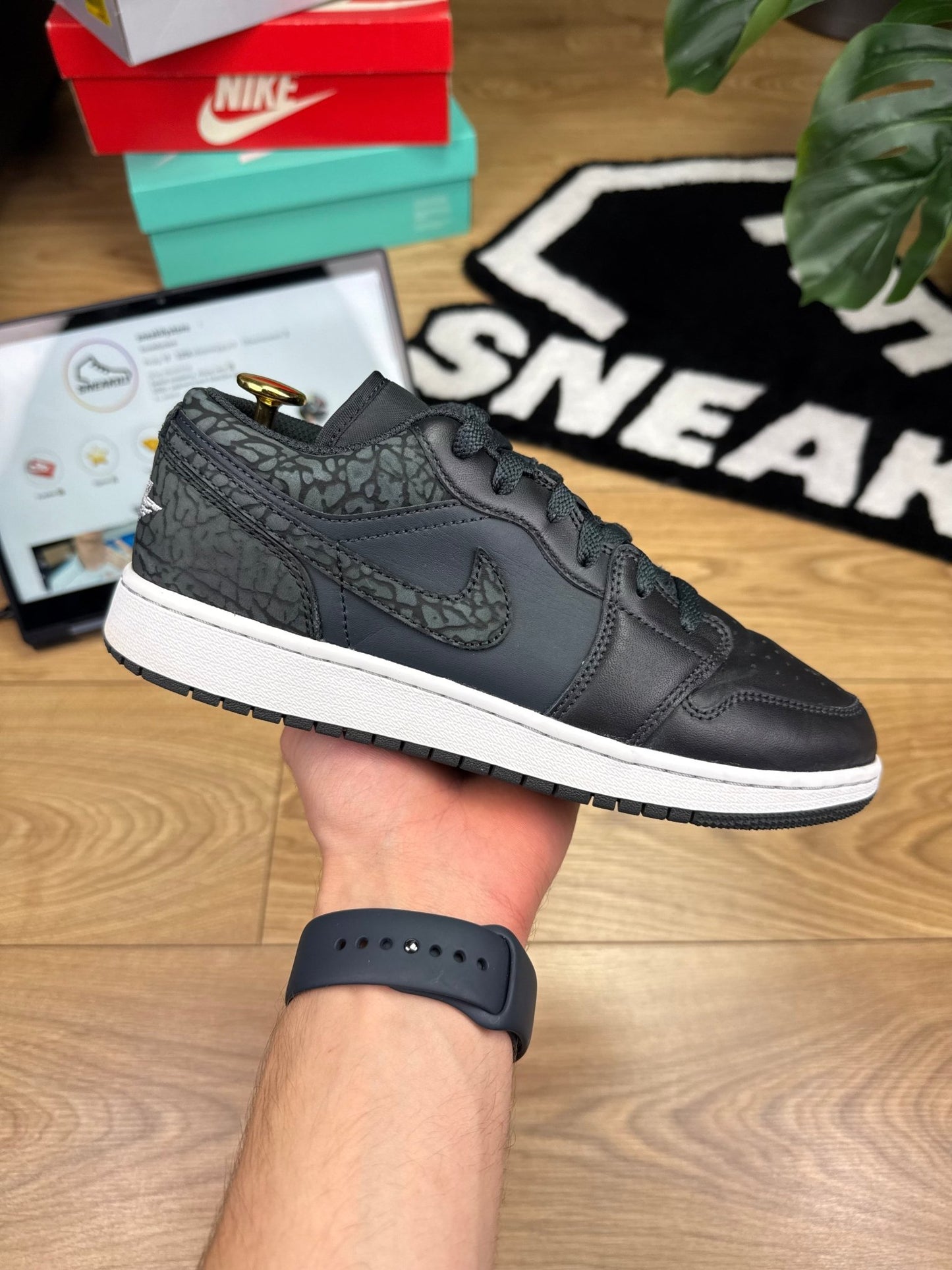 Nike Air Jordan 1 Low (40)