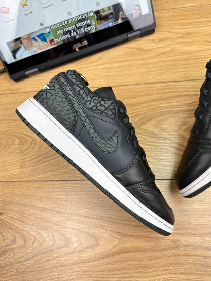 Nike Air Jordan 1 Low (40)