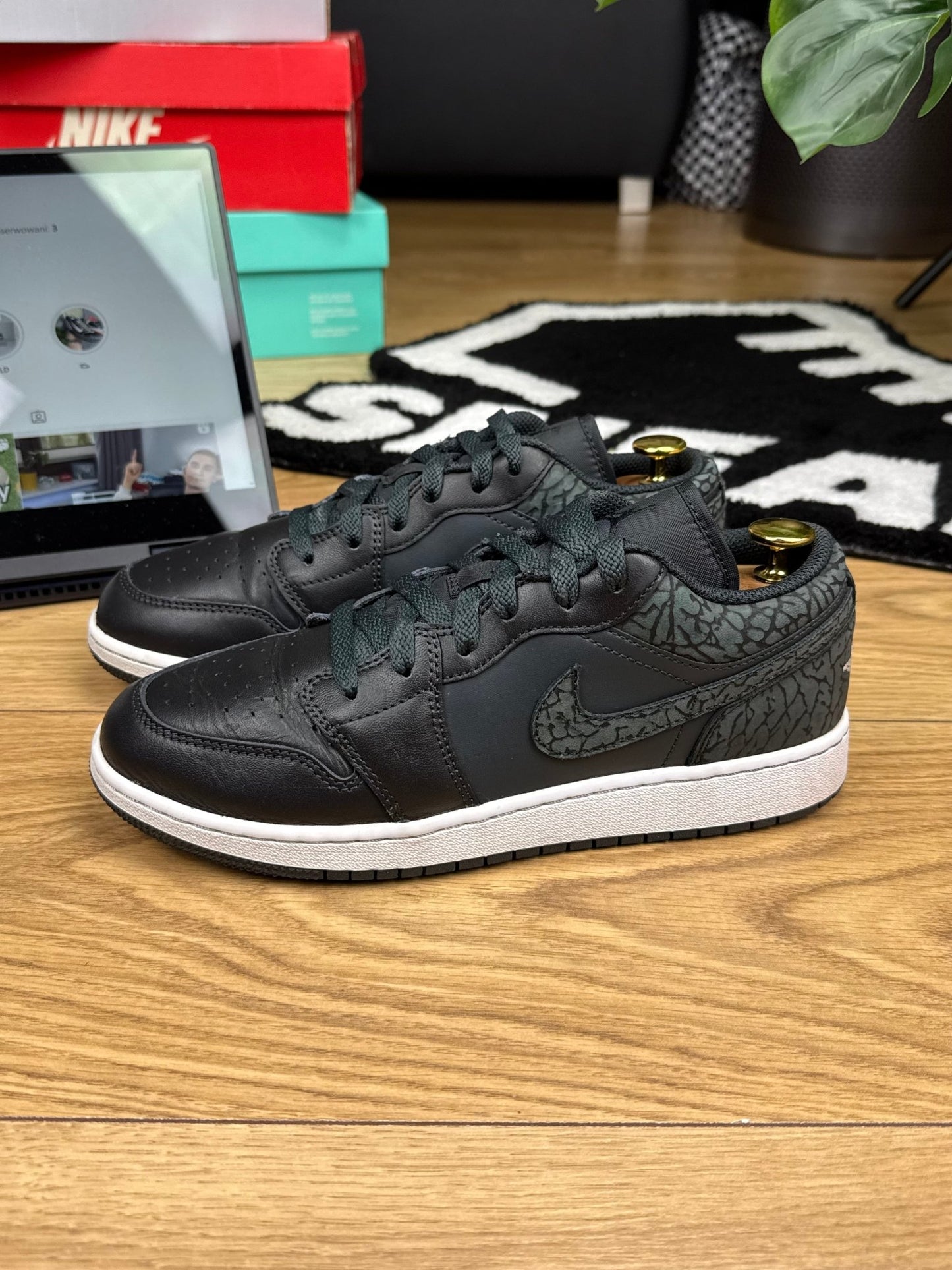 Nike Air Jordan 1 Low (40)