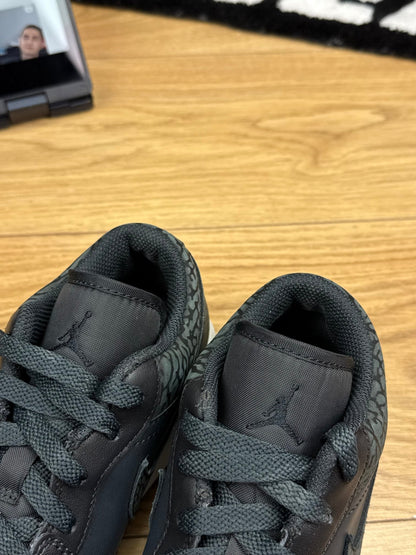 Nike Air Jordan 1 Low (40)