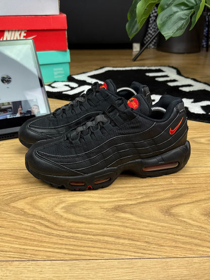 Nike Air Max 95 (42)