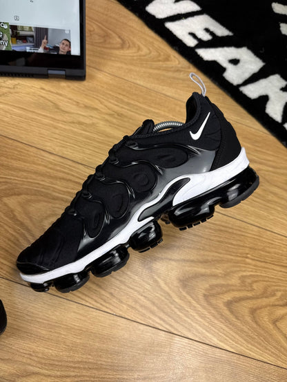 Nike Air Vapormax Plus (45)
