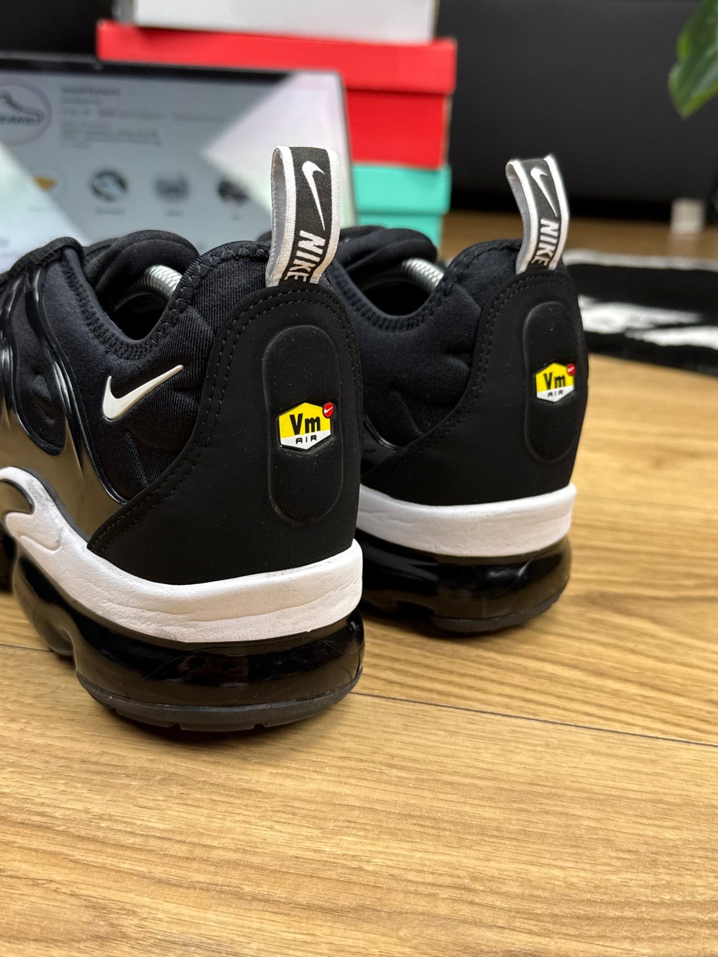 Nike Air Vapormax Plus (45)