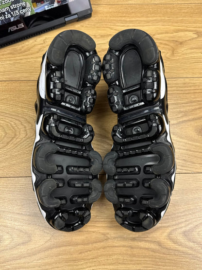 Nike Air Vapormax Plus (45)