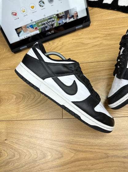 Nike Dunk Low (43)