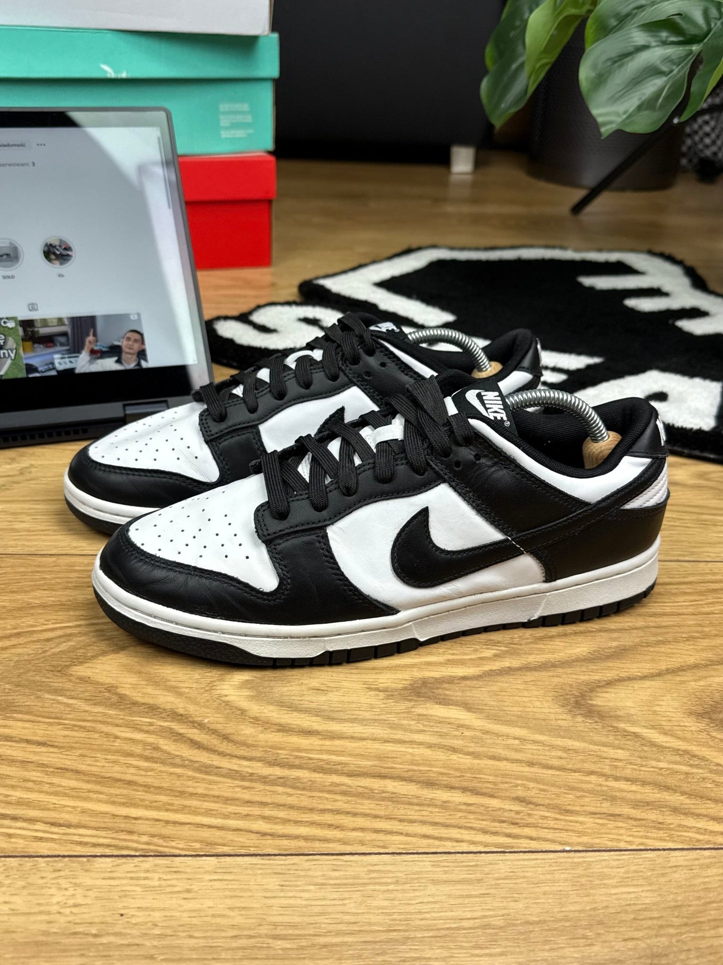 Nike Dunk Low (43)
