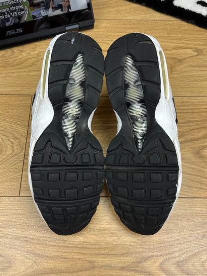 Nike Air Max 95 (43)