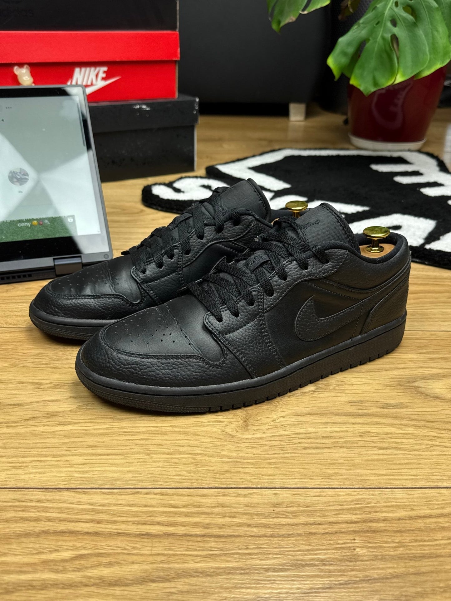 Nike Air Jordan 1 Low (44)
