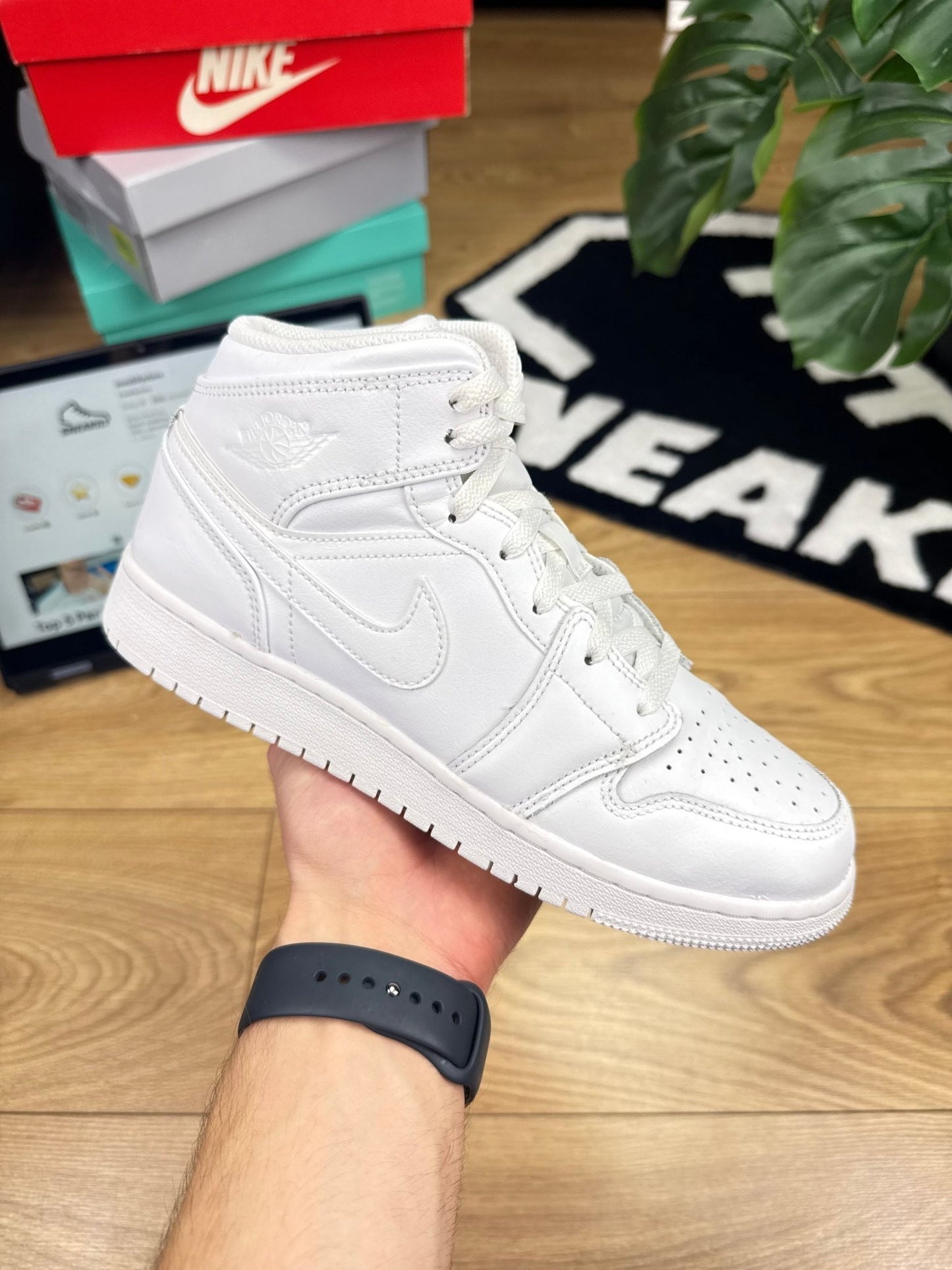 Nike Air Jordan 1 Mid (39)