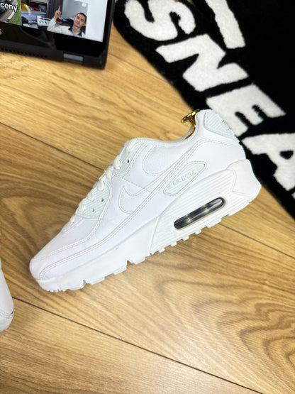 Nike Air Max 90 (38)