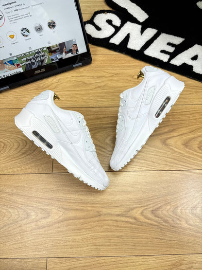 Nike Air Max 90 (38)
