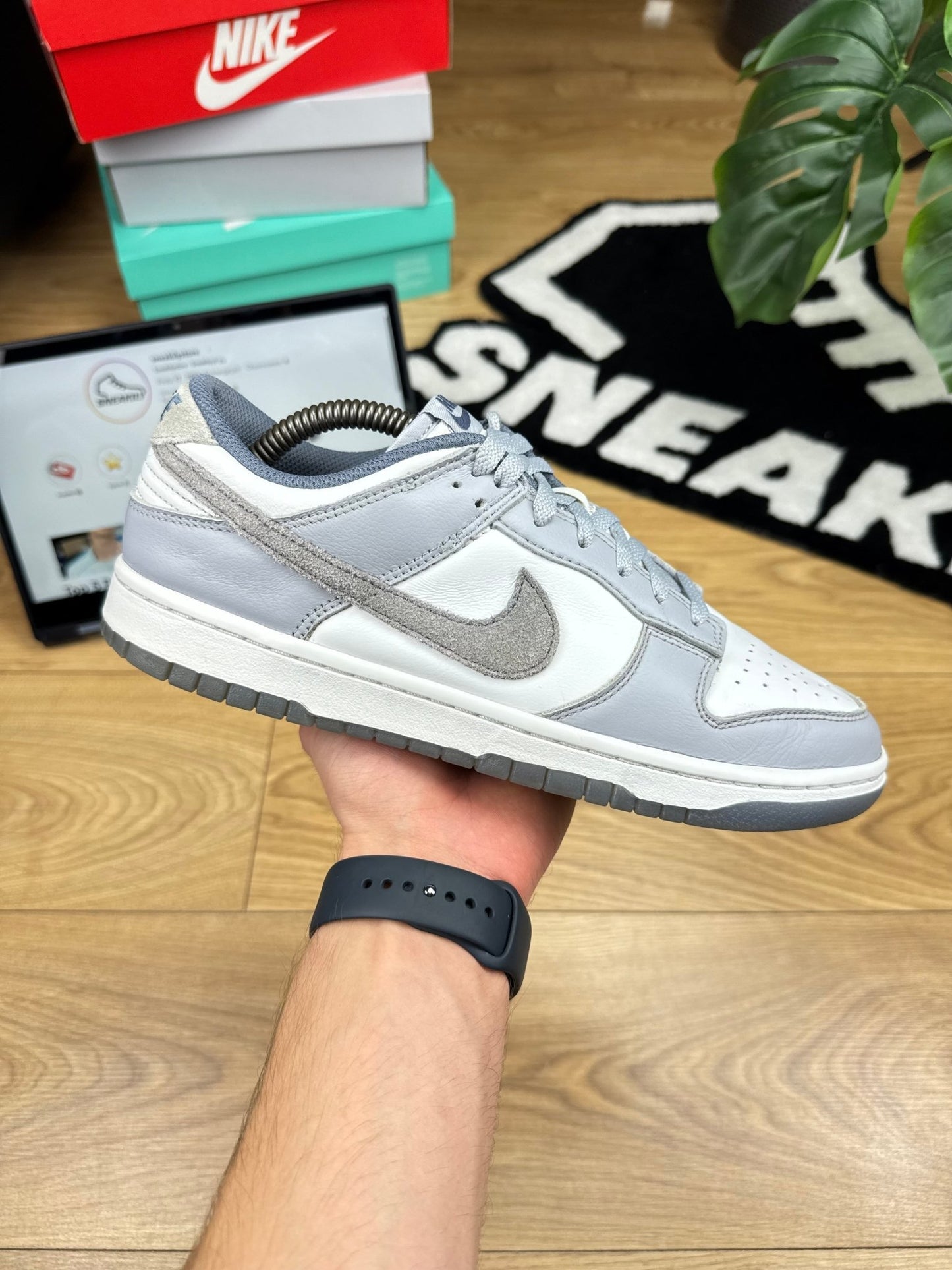 Nike Dunk Low (43)