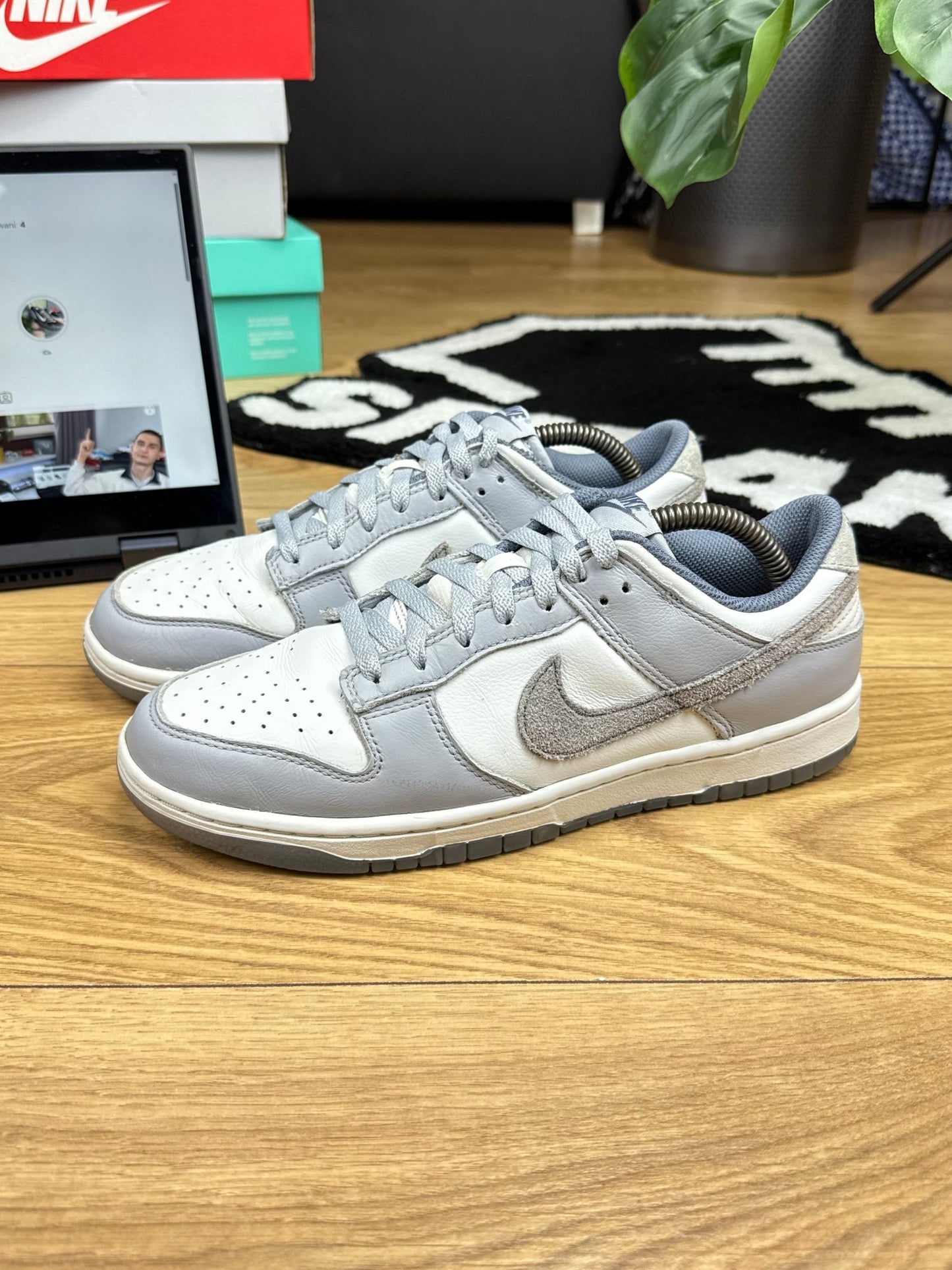 Nike Dunk Low (43)