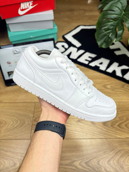 Nike Air Jordan 1 Low (43)