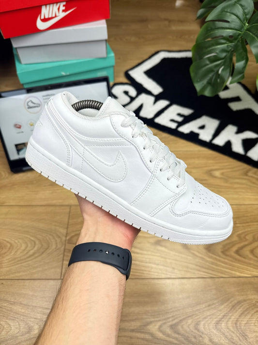 Nike Air Jordan 1 Low (43)
