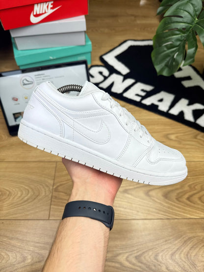 Nike Air Jordan 1 Low (43)