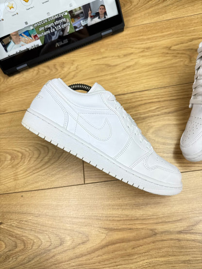 Nike Air Jordan 1 Low (43)