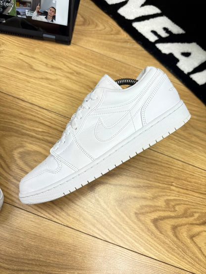 Nike Air Jordan 1 Low (43)