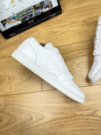 Nike Air Jordan 1 Low (43)