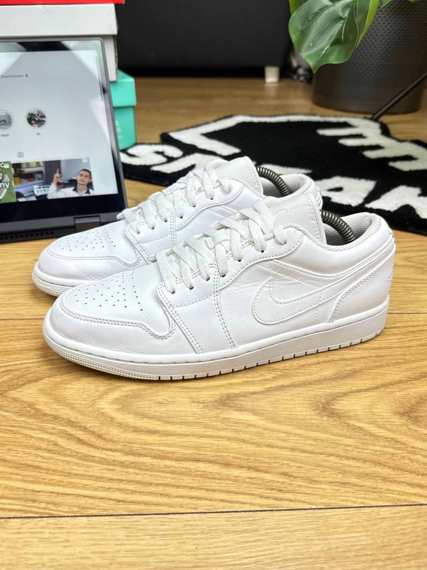 Nike Air Jordan 1 Low (43)