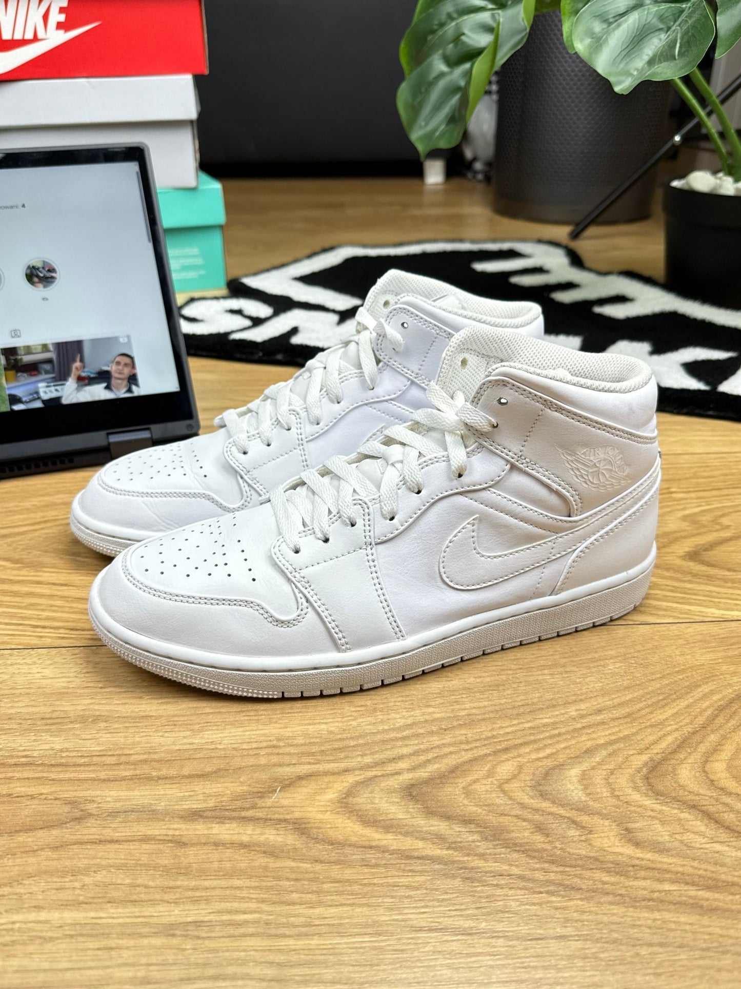 Nike Air Jordan 1 Mid (43)