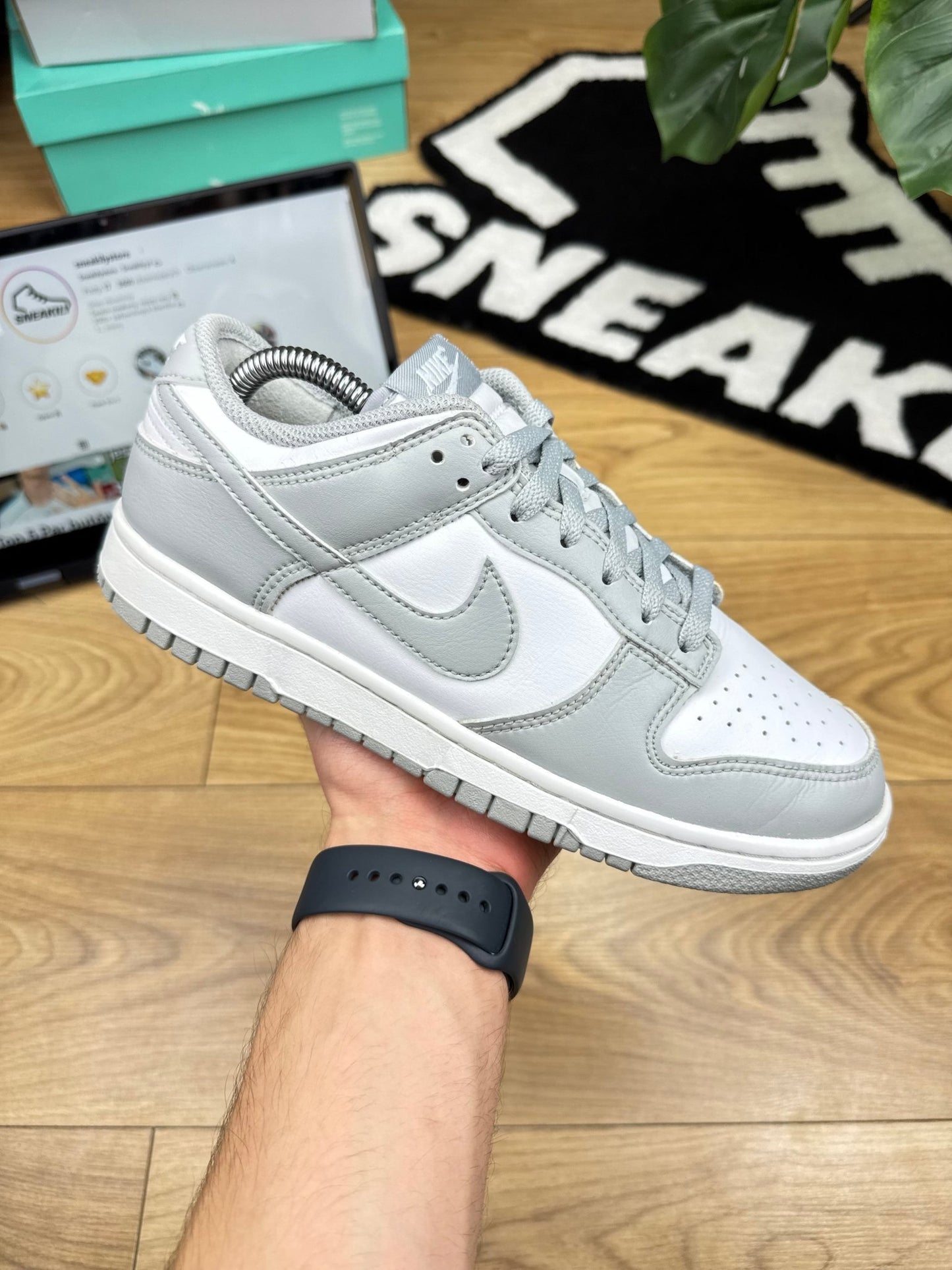 Nike Dunk Low (40.5)