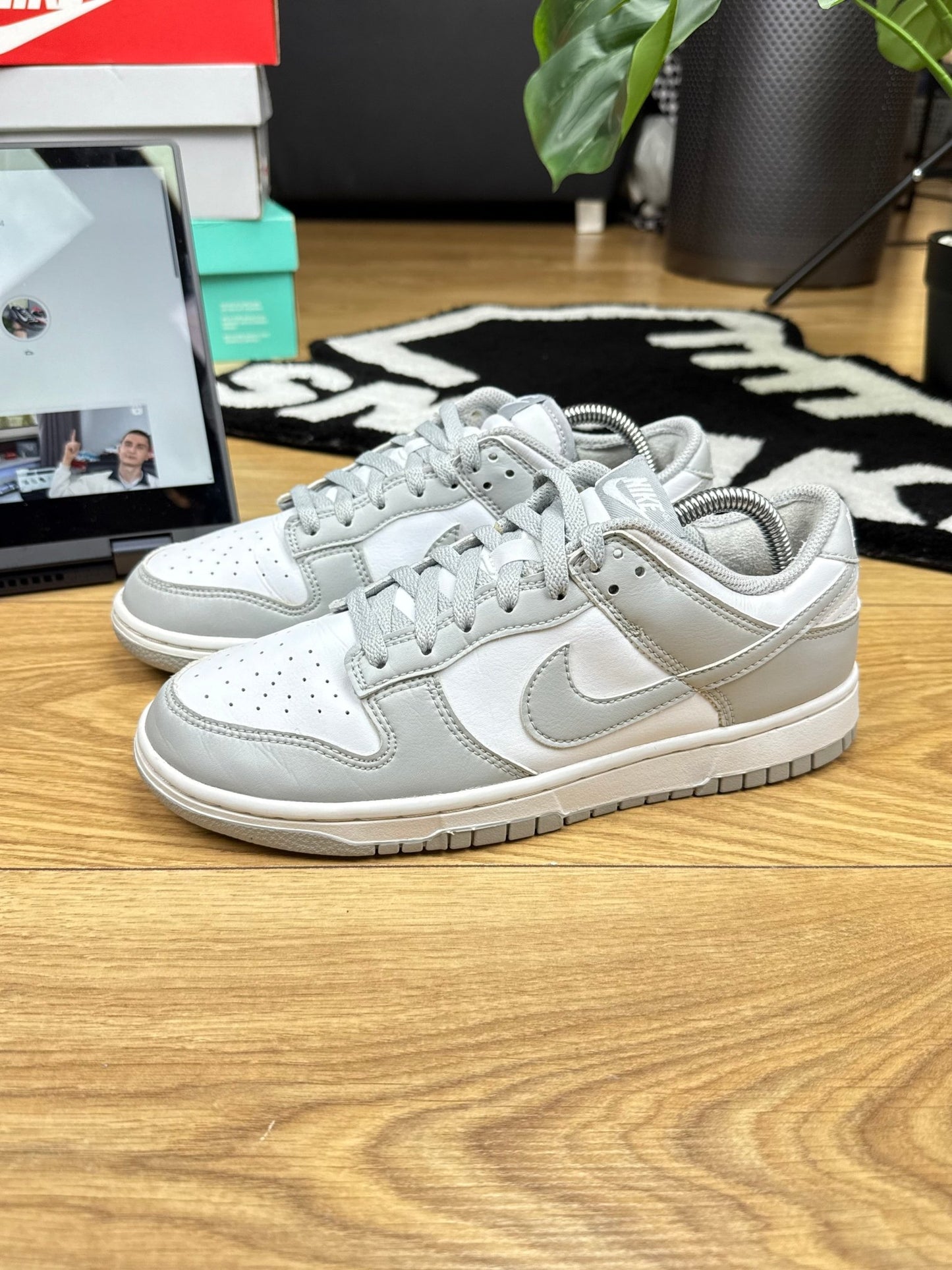 Nike Dunk Low (40.5)