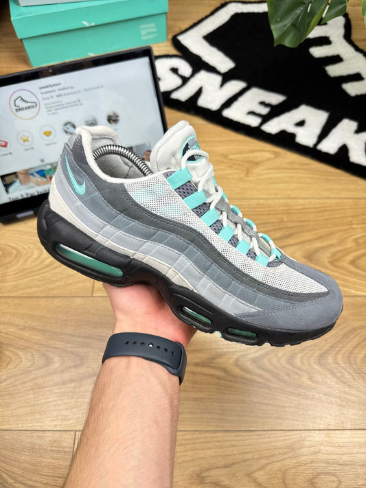 Nike Air Max 95 (43)