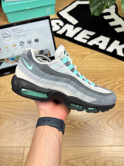 Nike Air Max 95 (43)