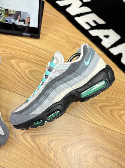 Nike Air Max 95 (43)