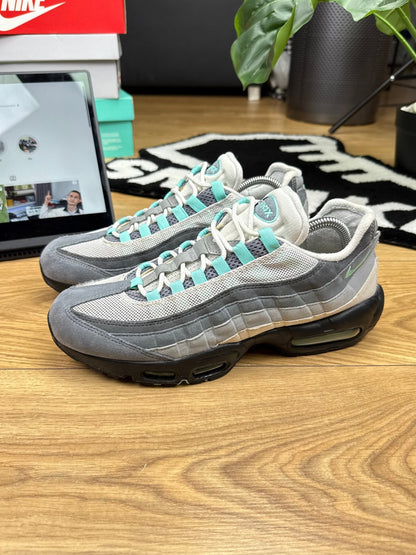 Nike Air Max 95 (43)
