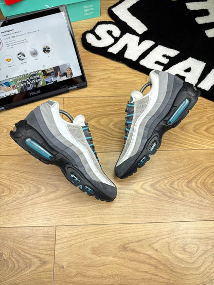 Nike Air Max 95 (42.5)
