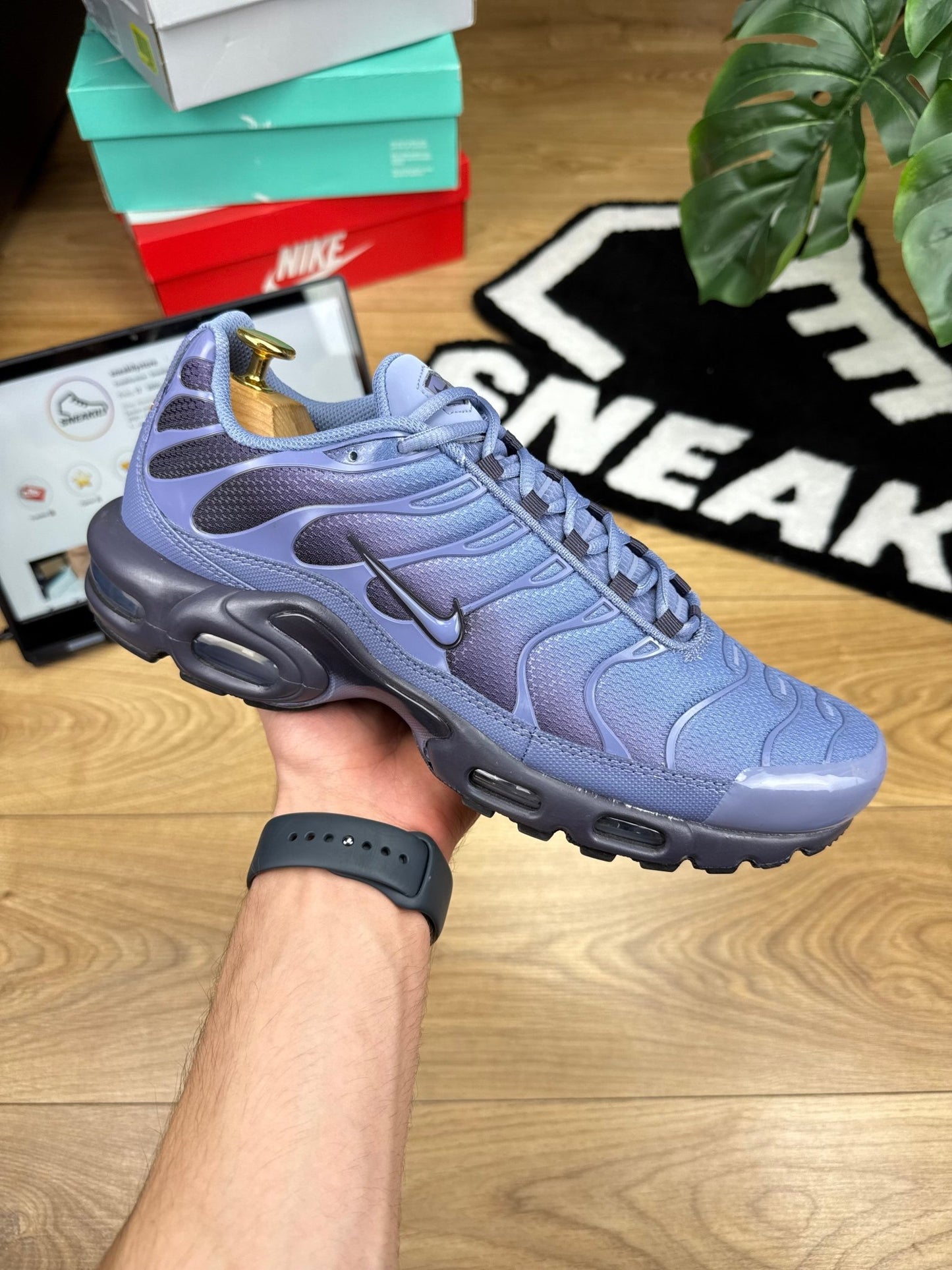 Nike Air Max Plus (45.5)