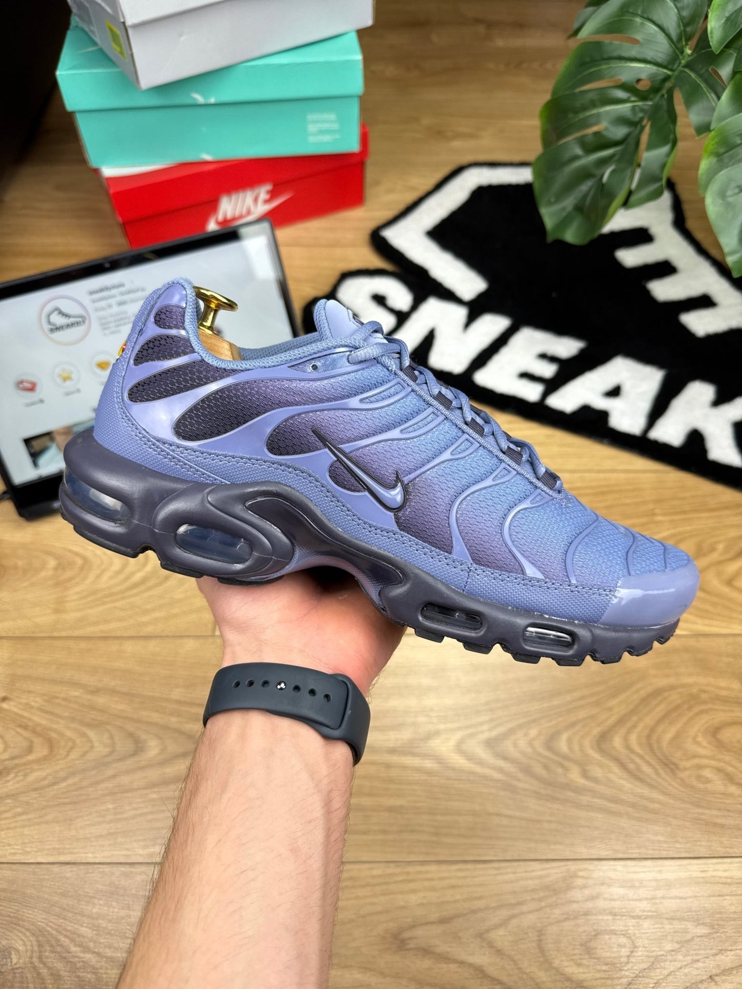 Nike Air Max Plus (45.5)