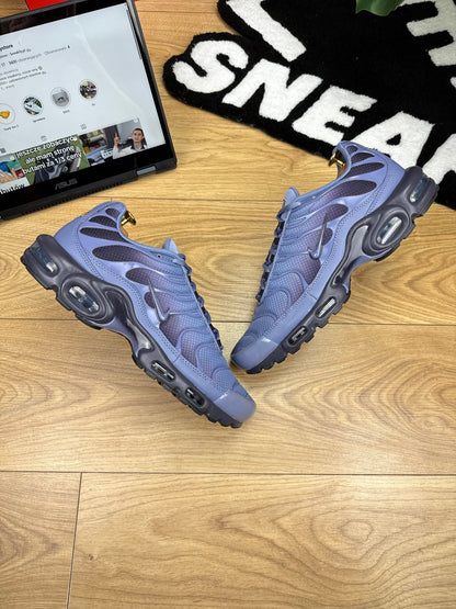 Nike Air Max Plus (45.5)