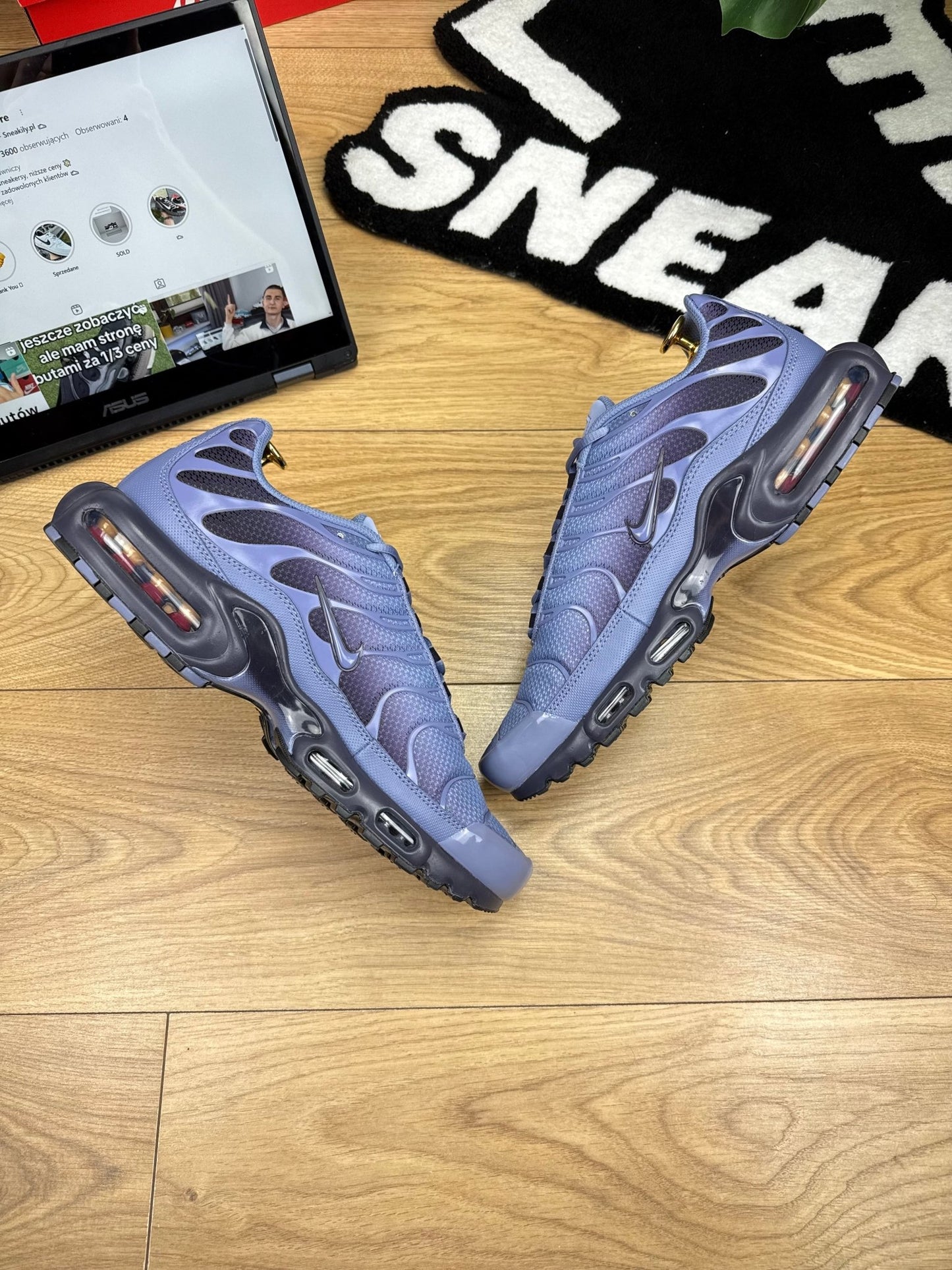 Nike Air Max Plus (45.5)